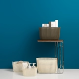 居家家 Настольная система хранения, пластиковая корзина для хранения для ванны