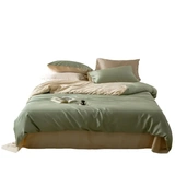 Цветной летний комплект для домашнего использования, бархатная простыня, 4 предмета, постельные принадлежности, легкий роскошный стиль