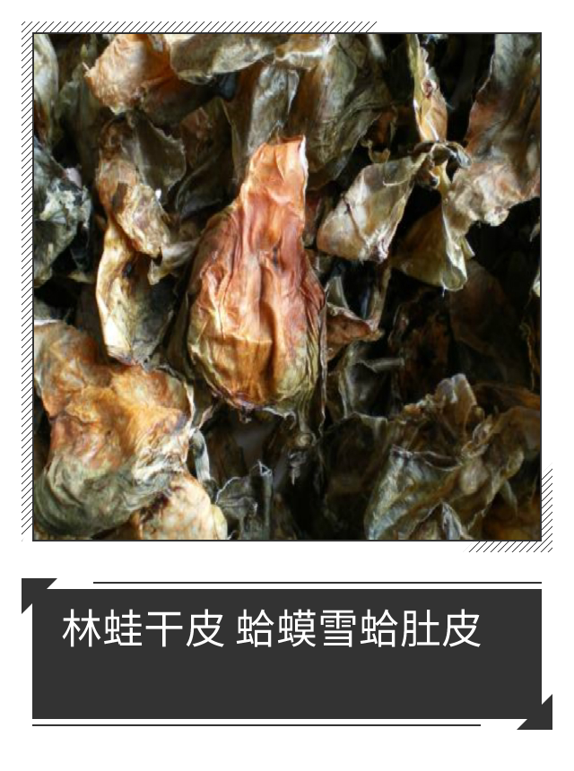 Northeast forest frog Changbai Mountain snow clam belly Toad Pi Lin frog belly part of the foot dry one pound