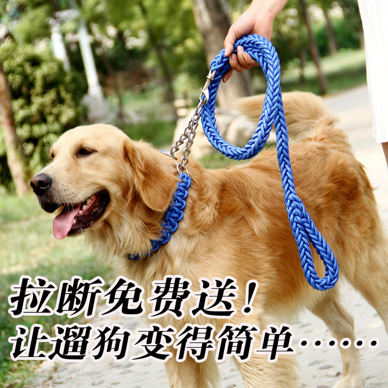 Dog leash collar set in large dog walking dog rope Golden Retriever Labrador dog chain eight strands rope P chain