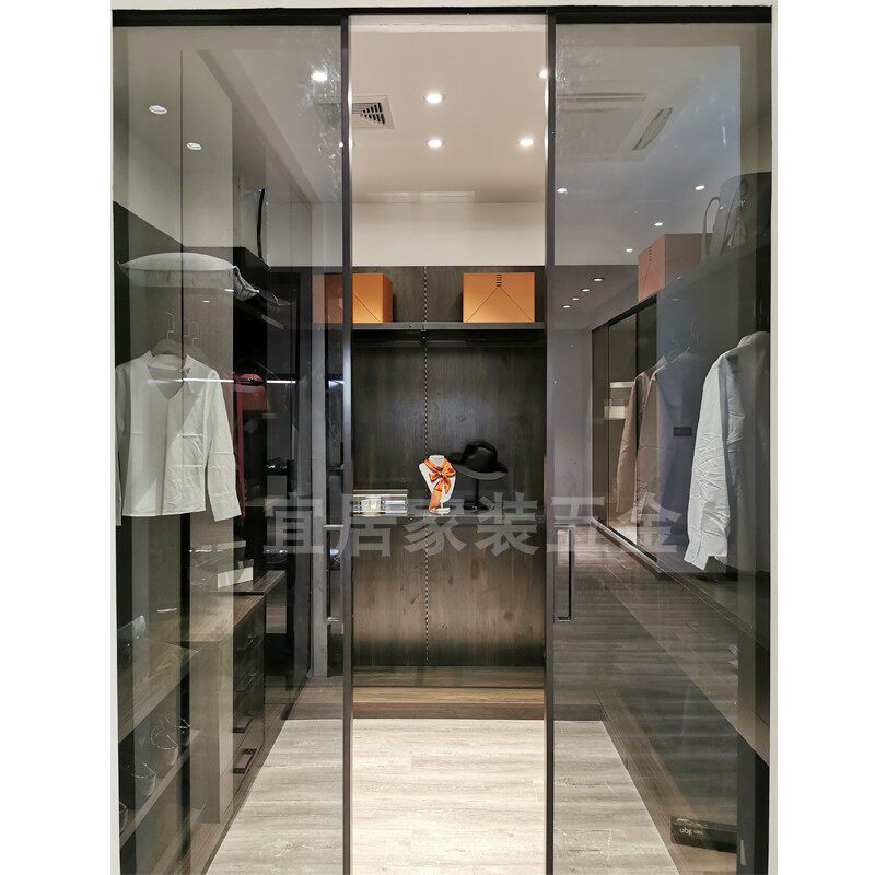 Minimalist light lavish glass door wardrobe door hanging door narrow side aluminium frame glass door glass cabinet