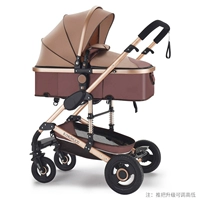 Местный тиран Золотая труба Хаки