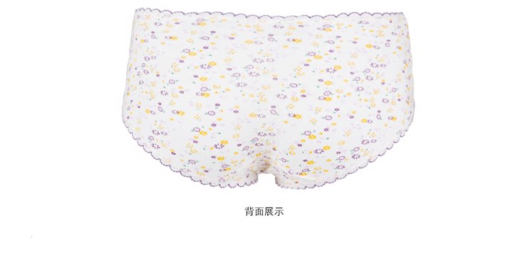 Slip jeunesse LW6038 en coton - Ref 642562 Image 17