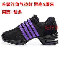 Модернизированная поверхность сетки с воздушной подушкой+фиолетовая полоса дно 5 см