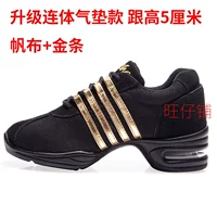 Обновление газовой подушки Canvas+золотая полоса дно 5 см.