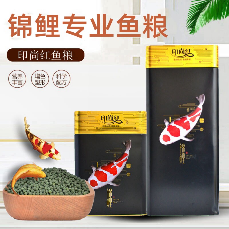The Inchamp red brocade carp feed brocade carp to grow into fish grain brocade carp Growth Carp Feed carp Growth Growing Body Color Yanggrain