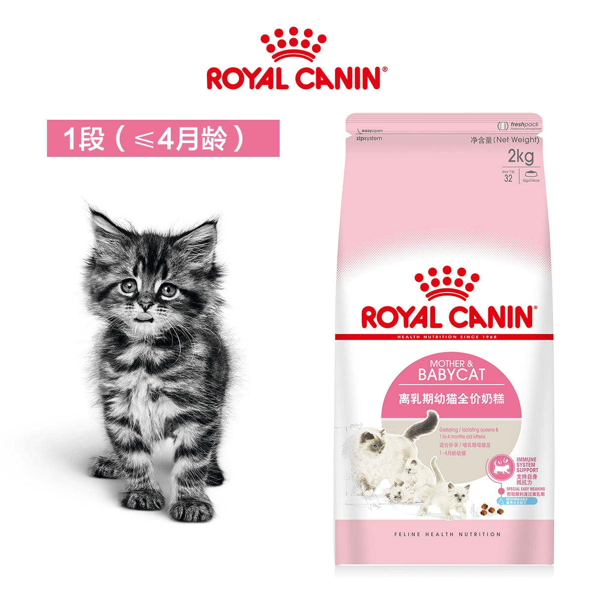 Mèo tham nhũng Royal Canin Royal Cat Food BK34 / BC34 Weaning Weaning Cat Sữa Cake Baby Cat Food 2kg - Cat Staples