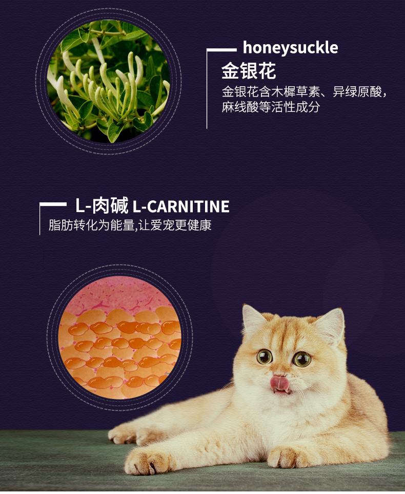 Tham nhũng mèo-cả-N3 không thêm thịt vịt cá hồi vào thức ăn chủ yếu cho mèo C62 * 4 pounds - Cat Staples hạt cho mèo ăn