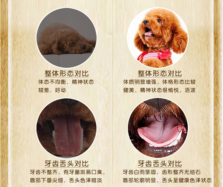Mèo tham nhũng kết hợp với thức ăn cho mèo tự nhiên Toàn bộ tuổi trưởng thành Mèo mèo Thức ăn chính Cá biển sâu 2kg hạt whiskas cho mèo con