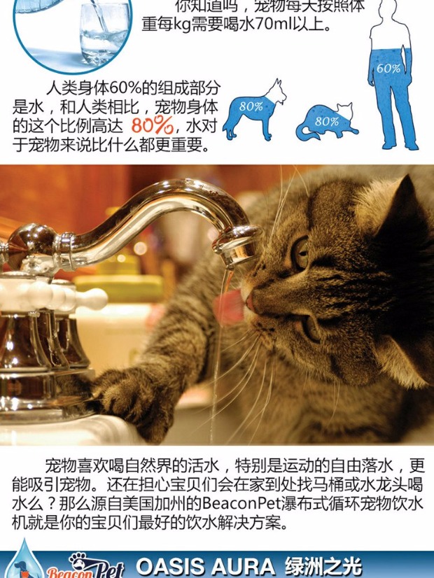 Mèo tham nhũng Beaconpet thác nước vật nuôi thác nước điện / nước và chó mèo nước uống / nước uống - Cat / Dog hàng ngày Neccessities bình nước treo chuồng chó