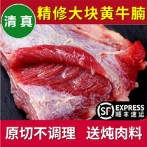 Fresh brisket 543kg halal cut non-conditioning quality bulk free-range authentic yellow beef Shunfeng