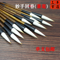 Sanyang Pen Zhuang Wenfang Four Treasures Beginner Students Brush Wolf Sheep and Small and Medium Set Brush