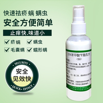 The drug benzyl benzoate of white tube curls on hair of scabies mites