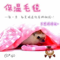 Измените общий цвет случайный