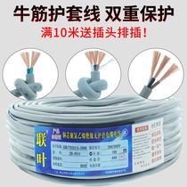National standard cable line pure copper 2-Core 3-Core 4-core waterproof and antifreeze wire 1 1 5 2 5 square power jacket cable