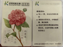 Куньминг-одиночный билет на метро KGD190201 Горные чайные цветы