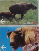 Shanghai Metro Card: JL0303 China’s Rare Animals (4) – Tibetan Antelope (2 in total) No card holder
