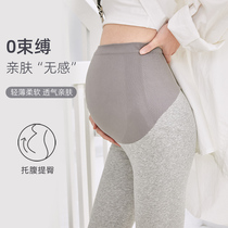 Pregnant Woman Beats Bottom Pants Spring Summer Slim Fit Pure Cotton High Waist Tooty Pants Big Code Seamless Outer Wear Long Pants Stretch Damp Pants