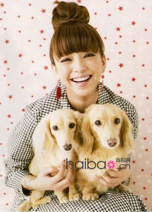 Extension cheveux - Chignon - Ref 239086 Image 6