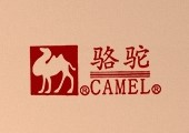 骆 驼取暖器专销店