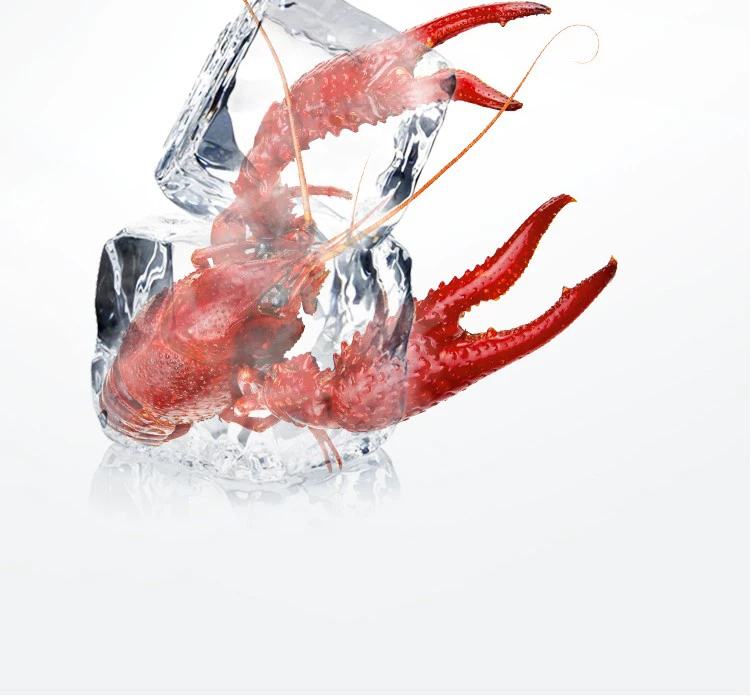 MeiLing / Meiling BCD-436WUECX Tủ lạnh tủ lạnh AC không có sương giá - Tủ lạnh