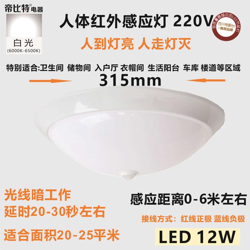 High-quality human body infrared sensor lamp 24v radar microwave ceiling lamp 12v automatic control 36V voice control lamp 220V