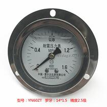 Direct sales Ryerda panel axial with edge oil pressure gauge seismic pressure gauge hydraulic gauge YN-60ZT 1 6MPA