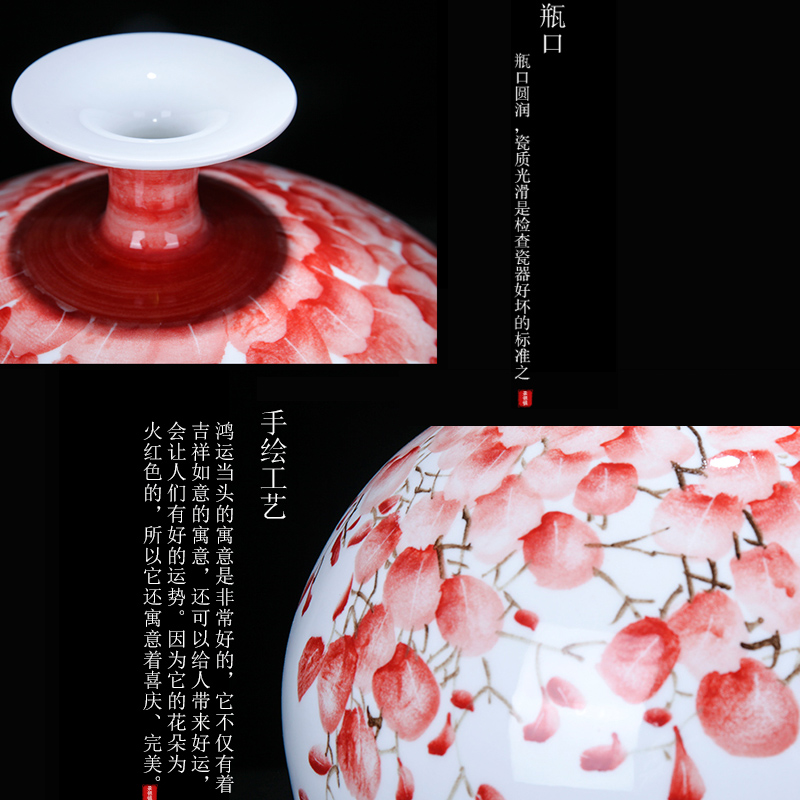 Jingdezhen ceramic new Chinese style much luck craft vase home sitting room porch flower arranging, adornment is placed