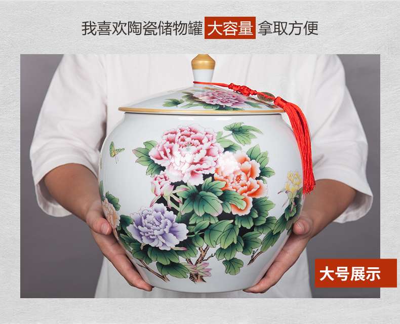 Jingdezhen ceramic wine sitting room adornment seal storage tank furnishing articles creative household porcelain jar of TV ark