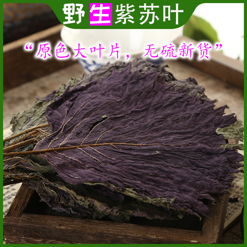 Chinese Herbal Medicine Purple Suyeye 250 gr Wild Purple Suyea Tea Burning Fish Shrimp Crab Seafood to Fishy Spice Edible