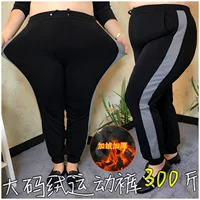 Quần short nữ size siêu béo mm mùa đông cộng với size cộng với quần thể thao béo dày cộng với quần nhung co giãn 300 kg áo phông nữ có cổ