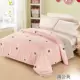 Genuine một mảnh 100% cotton chăn 150x200 180x200 200x230cm bông chăn đơn - Quilt Covers 	chăn ga gối đệm phao	