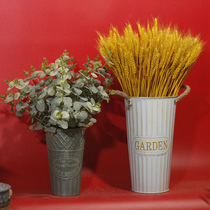 Natural wheat ear dried flower bouquet opening barley living room decoration ornaments flower arrangement bucket shooting props floor TV cabinet