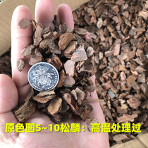 Medium Pine bark Orchid plant material High temperature fermentation Pine Lin flower dendrobium potted grain paving auxiliary matrix soil