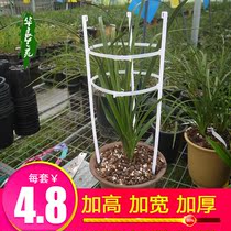 New gardening bracket orchid special leaf guard frame flower support frame climbing plant stand flower frame