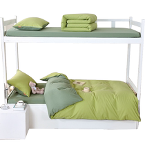Pure cotton student dormitory special three-piece set 2024 new bedding dormitory single bed cotton quilt cover sheets
