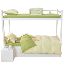 Pure cotton three-piece set for student dormitories 2024 new bedding dormitory single bed quilt cover sheets