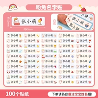 D2 · Pink Rabbit Name Paste (100 шаттер) -Полета и название замечаний