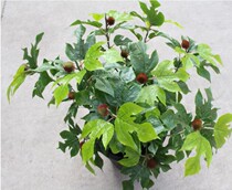 Hot sale emulation plant Branches Chu Peach Tree Potted Bonsai Leaf Valley Leaves Shooting Landscape Engineering Flowers