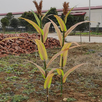 Simulation with seed yellow sorghum dried flower fake corn ear wheat ears field farm family music scene rice ears 5 grain silk flowers