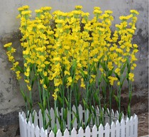 New emulated flower yellow oil vegetable flower fake flower shooting Prop Square Decoration Show Flowers Big Silk Flowers Dried Flowers