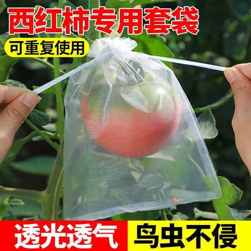 Чехол для томатов, защита от птиц, сумка для томатов, защита от насекомых, защита от птиц, фрукты, специальная сумка, защитная сетка для овощного сада, защитный чехол