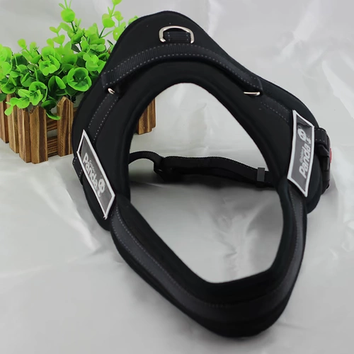 Golden Golda Gold Panda K8 Pet Grap Brap