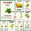Healthy vegetable health recipe stickers conditioning diet