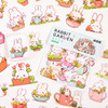 Niwai Bear Rabbit Garden Stickers 70 handbook materials cute flowers and plants cartoon small fresh children's stickers