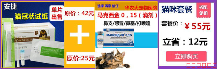 Hàn Quốc Anjie FCOV Cat Giấy kiểm tra viêm phúc mạc Mèo Cat coronavirus Mèo Giấy viêm phúc mạc truyền nhiễm - Cat / Dog Medical Supplies 	các loại kim tiêm thú y	