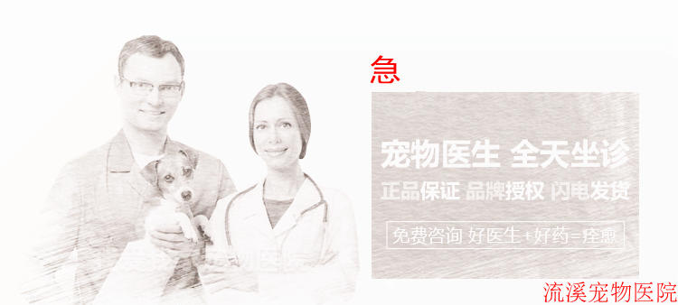 Hàn Quốc Anjie FCOV Cat Giấy kiểm tra viêm phúc mạc Mèo Cat coronavirus Mèo Giấy viêm phúc mạc truyền nhiễm - Cat / Dog Medical Supplies 	các loại kim tiêm thú y	