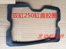 Lonxin CBT250 gold Taizi CA250 earth eagle king double cylinder 250 cylinder head rubber ring top cover sealing ring