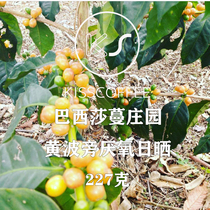 2021 new season Brazilian Manor estate yellow bourbon anaerobic sun baking coffee beans 227g