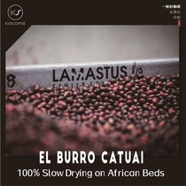 Panama Donkey Manor Caduai 100% African scaffolding slow drying sun treatment light baking 227g